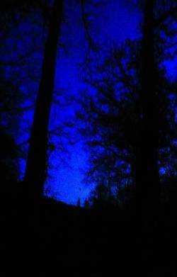 Drakonhail : Nuit en Edifice Drakonhail : Nuit en Edifice